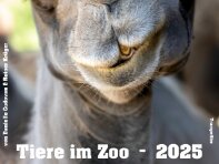 2025